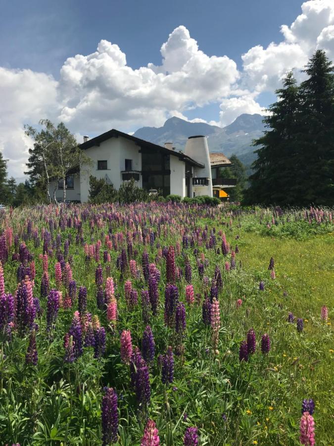 Apartmán Chesa Suot Ovas Sils Maria Exteriér fotografie