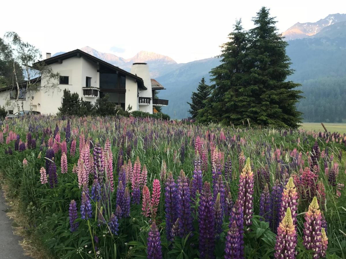 Apartmán Chesa Suot Ovas Sils Maria Exteriér fotografie