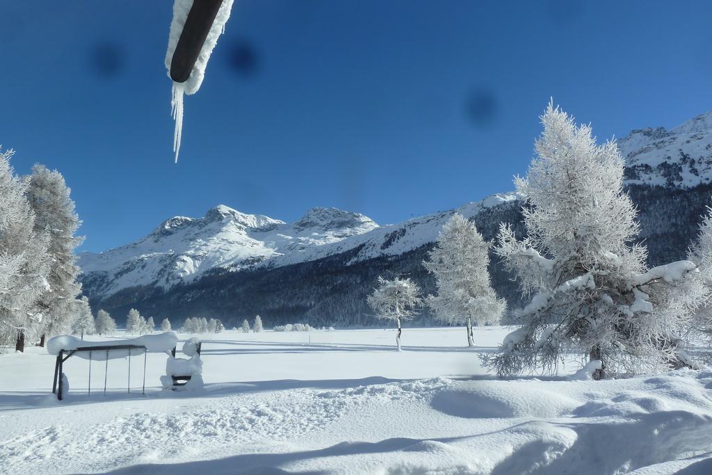 Apartmán Chesa Suot Ovas Sils Maria Exteriér fotografie