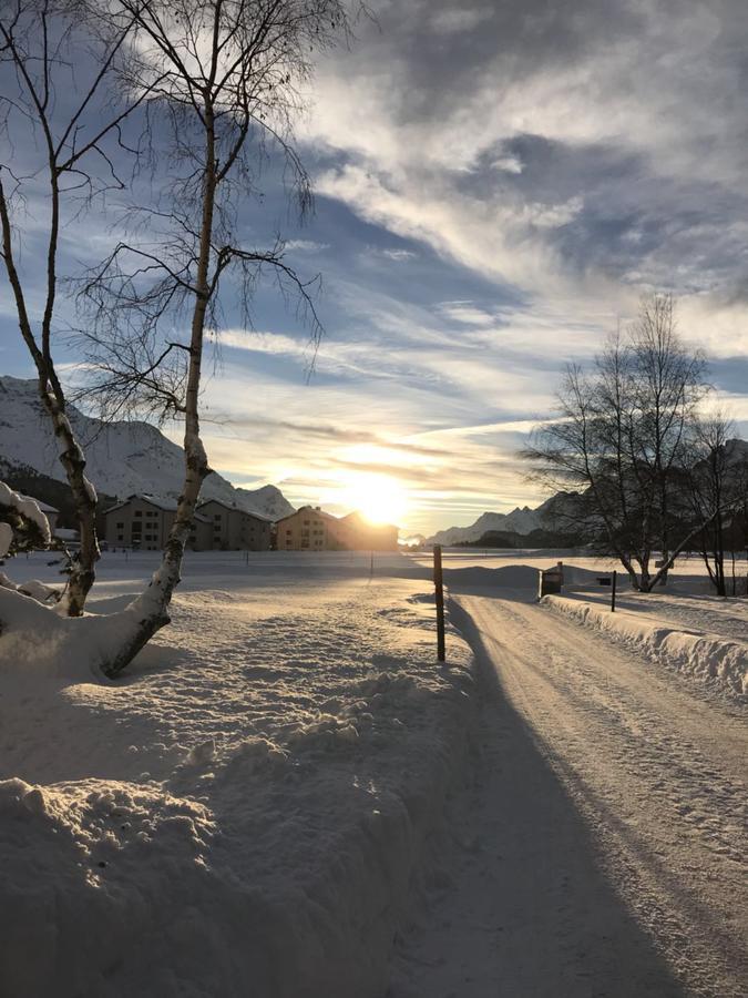 Apartmán Chesa Suot Ovas Sils Maria Exteriér fotografie