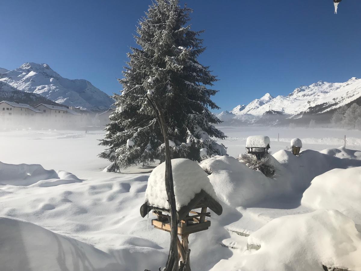 Apartmán Chesa Suot Ovas Sils Maria Exteriér fotografie